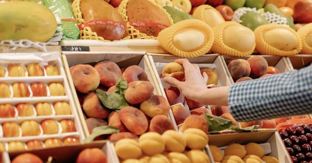can non-citizens apply for food stamps?